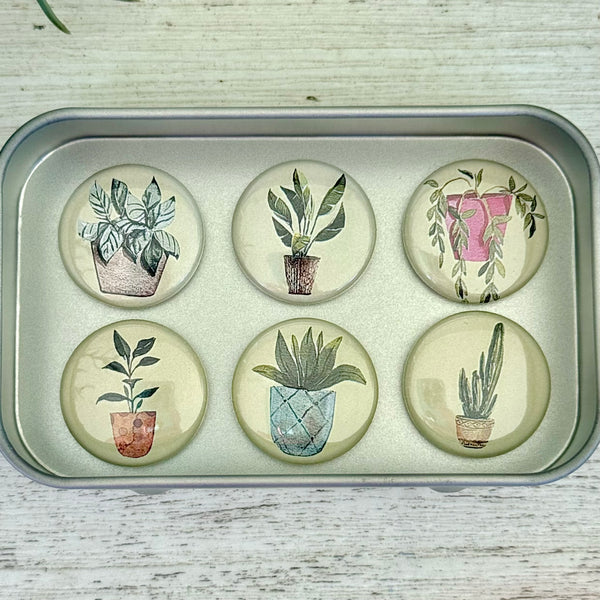 POTTED PLANTS Needle Minders or Magnets set of 6 in tin