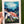 Load image into Gallery viewer, Green Sea TURTLE card - Ocean Blank card
