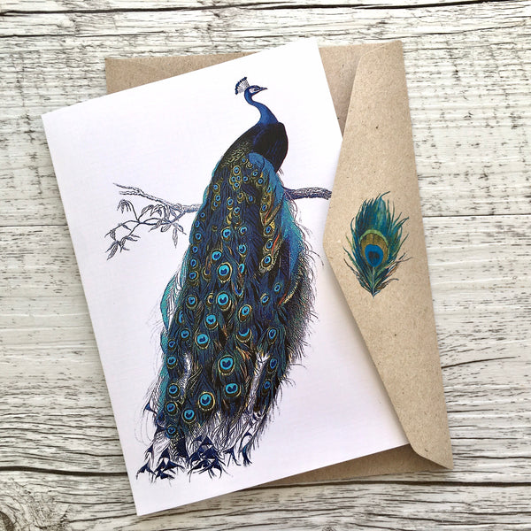 PEACOCK Blank cards set of 4
