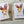 Load image into Gallery viewer, AUSTRALIAN ANIMAL Birthday or Blank Cards set of 4
