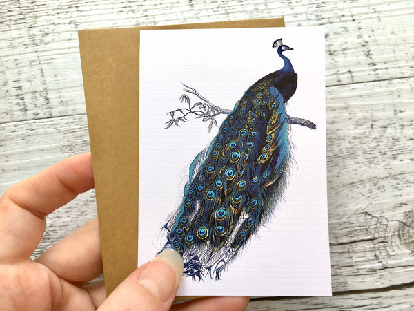 PEACOCK Blank cards set of 4