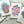 Load image into Gallery viewer, SUCCULENTS cards set of 4
