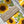 Load image into Gallery viewer, SUNFLOWERS COLLECTION Gift Wrap Belly-Bands
