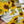 Load image into Gallery viewer, SUNFLOWERS COLLECTION Gift Wrap Belly-Bands
