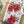 Load image into Gallery viewer, POINSETTIA COLLECTION Gift Wrap Belly-Bands

