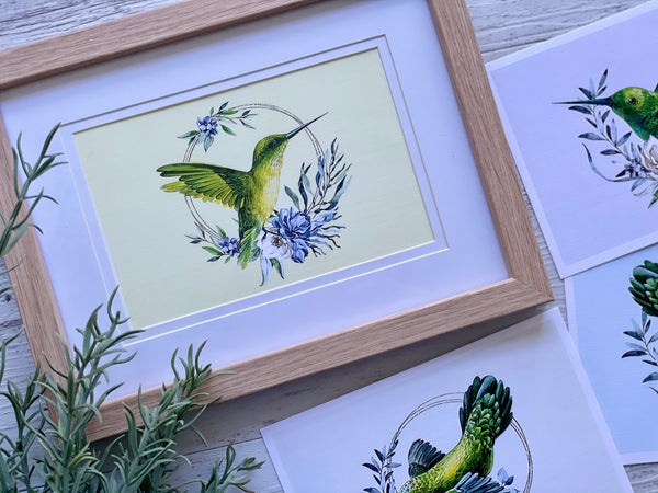 HUMMINGBIRD Postcards /Art Prints set of 4