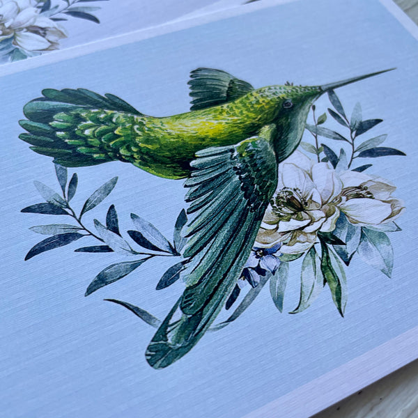 HUMMINGBIRD Cards set of 4