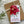 Load image into Gallery viewer, POINSETTIA CHRISTMAS gift tags - New bigger size!
