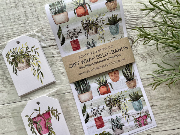 POTTED PLANTS Gift Wrap Belly-Bands