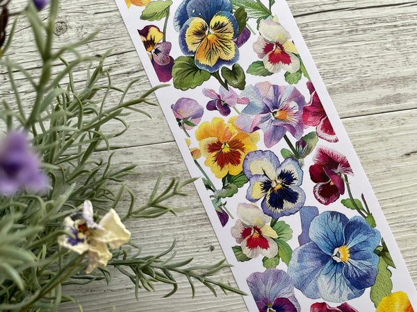 PANSY Gift Wrap Belly-Bands