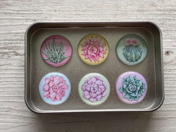 SUCCULENTS Needle Minders or Magnets set of 6