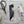Load image into Gallery viewer, Australian Bird Bookmarks set of 2
