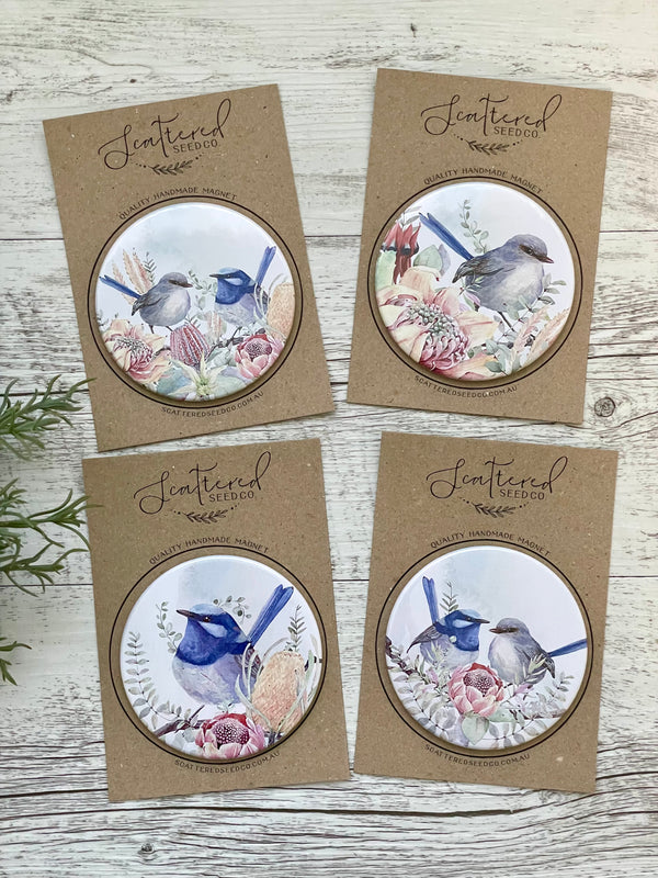 Extra Large Magnets - 3 1/2” wide Australian SUPERB FAIRY WRENS - strong fridge/office magnets
